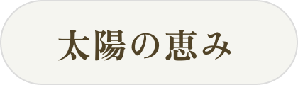 太陽の恵み