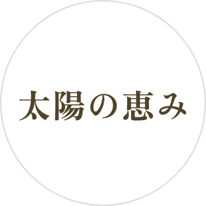 太陽の恵み